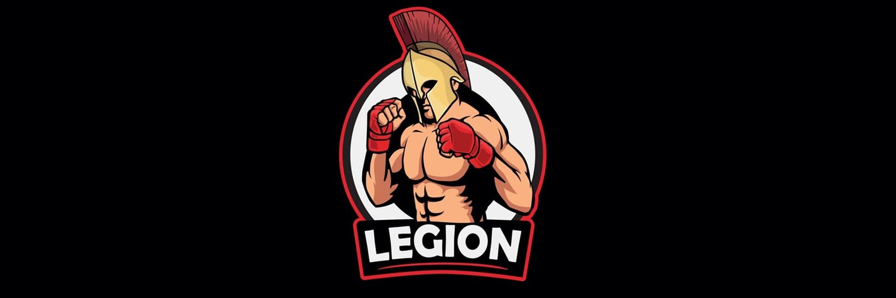 Официальная обложка школы единоборств LEGION